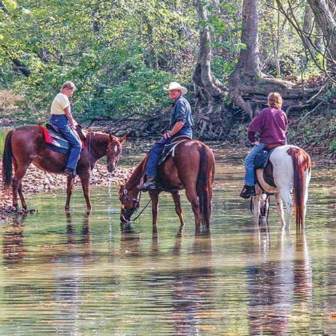 Outdoorsy Family Getaways - Limestone County