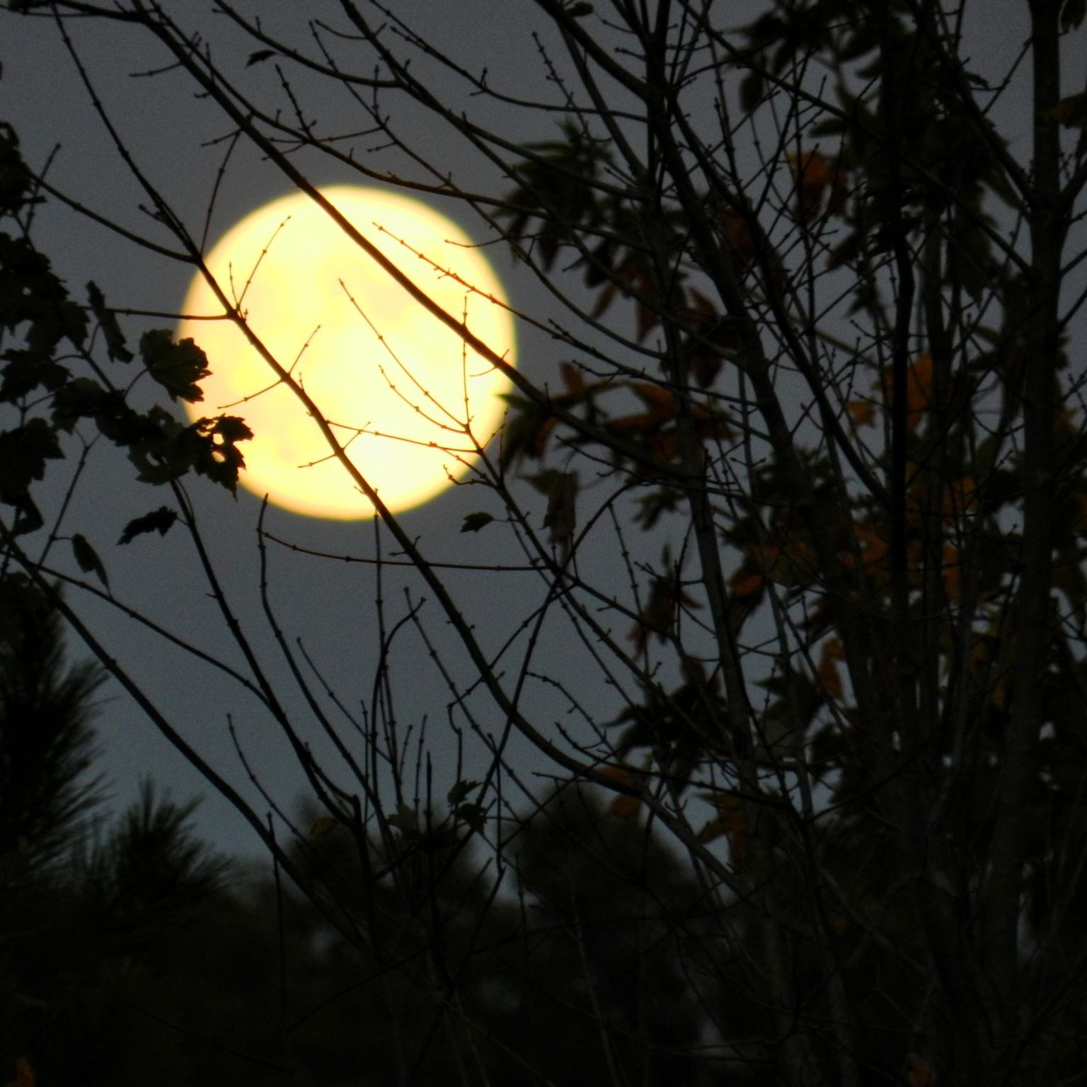 Full Moon Hike at Spring Mill State Park Limestone Country