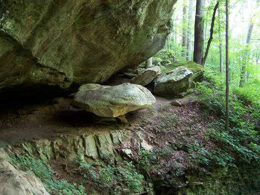 Hemlock Cliffs Hike Limestone Country