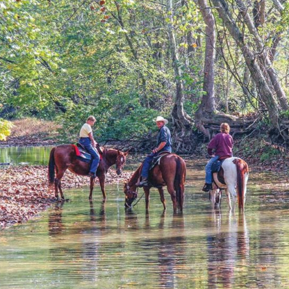 Camping Under the Stars in Lawrence County - Limestone County