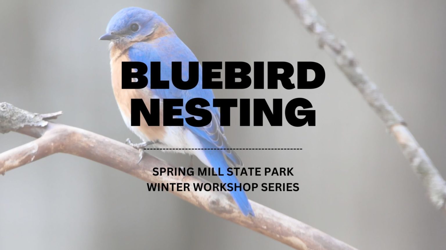 Pizza Hut Limestone Country